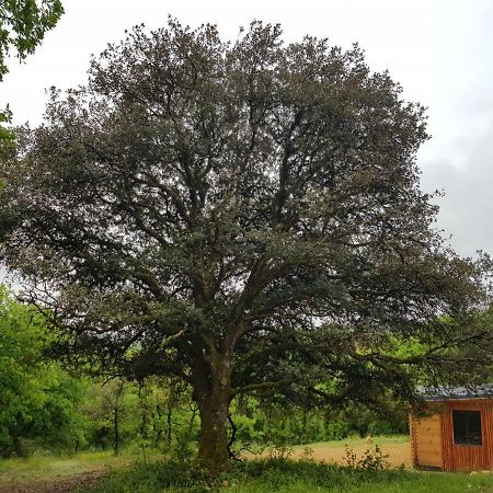 Gites Du Chene Vert Montignac-Lascaux Dış mekan fotoğraf
